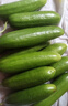 京鲜生 精品嫩水果黄瓜 净1.6斤单果70g左右 水嫩精选幼瓜 源头直发 实拍图