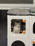 蔻丝猫笼子带厕所一体适合大猫家用室内三层猫别墅大号猫窝透明猫柜 实拍图
