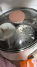天际（TONZE）电炖锅 隔水炖锅 电炖盅 煲汤锅炖汤锅煮粥锅燕窝养生锅 不锈钢隔水炖盅政府补贴 GSD-253GD 2.5L 实拍图