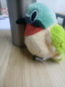 捉趣翠鸟毛绒玩具可爱小鸟玩偶公仔睡觉桌伴抱枕陪睡娃娃生日新年礼物 叉尾太阳鸟-约11cm+挂绳 鹦鹉鸟系列 实拍图