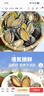 江船长 冷冻鲍鱼 净重160g(10-15粒)袋装 火锅烧烤食材 海鲜生鲜  实拍图