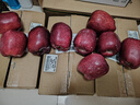京鲜生 甘肃天水花牛苹果 又大又红 净重4斤装 单果200g起 新鲜水果  实拍图
