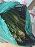 【现采现发】新鲜茭白时令蔬菜带壳茭白高笋应季美食农家自种包邮 现采带壳茭白4.6-5斤 净重 实拍图