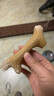 贵为（GiGwi）狗玩具磨牙棒狗狗磨牙玩具幼犬小型犬木塑鹿角小号宠物用品玩具 实拍图
