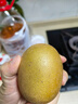 佳沛（zespri）新西兰阳光金奇异果 8个装 特大果单果重约122-146g 水果猕猴桃 实拍图