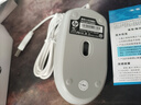 惠普（HP）M10鼠标 有线鼠标 商务办公男女生通用USB接口即插即用无需驱动人体工学有线鼠标 白色 实拍图