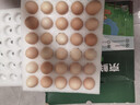 京鲜生 无抗保洁鲜鸡蛋30枚/盒 健康轻食 礼盒送礼 1.5kg/盒 源头直发 实拍图