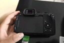 佳能（Canon）EOS RP 全画幅微单数码相机 单机身（ 约2620万像素/轻巧便携） 实拍图