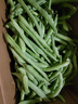 农家四季豆新鲜现摘云南长扁豆角农家应当季蔬菜芸豆现摘菜豆 新鲜四季豆2斤带箱 实拍图
