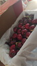 京鲜生 智利进口车厘子2J级 900g礼盒装 果径约28-30mm 新鲜水果礼盒 实拍图