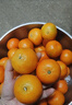 京鲜生 广西砂糖橘 净重8斤 单果35-45mm  新鲜水果 源头直发包邮 实拍图