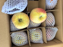 佳农新疆阿克苏冰糖心苹果8斤 果径80mm+ 25年新果 水果礼盒 实拍图