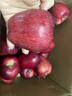 京鲜生 甘肃天水花牛苹果 又大又红 净重10斤 单果200g以上 新鲜水果  实拍图