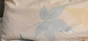 水星家纺枕套牛奶绒抗静电秋冬加厚A类加绒枕芯保护套一对装48x74cm 实拍图