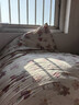 源生活 新疆被褥 棉被芯床褥冬天垫盖两用被子宿舍单人 冬被 8斤1.5x2米 实拍图