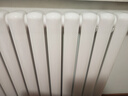 金旗舰暖气片家用钢制水暖壁挂式全屋暖气定制集中供暖自采暖立式散热器 防腐金刚60F-高600mm 6分口 实拍图