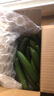 京喜加新鲜无刺水果小黄瓜小青瓜脆甜荷兰脆嫩生吃黄瓜蔬菜 水果黄瓜 2斤 带箱活动 实拍图