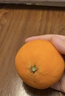 京鲜生 四川爱媛38号果冻橙 5斤 单果180g起 生鲜水果柑橘桔子礼盒 实拍图