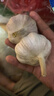 京鲜生河南杞县大蒜带皮干蒜净重5斤单果5.5-6cm 源头直发包邮 实拍图