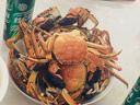【活蟹】阳澄联合鲜活大闸蟹现货公3.5-3.8两 母2.5-2.8两 4对8只螃蟹年货礼盒源头直发 实拍图
