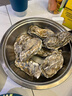 蜀皇 乳山生蚝鲜活大海鲜年货5斤净重5XL(8-12个)只源头直发包 邮 实拍图