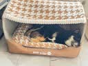嬉皮狗（hipidog）宠物狗窝四季通用狗狗床冬季保暖大型犬小型犬猫窝封闭式 洛米棕 XL（建议体重40斤内） 实拍图