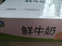 君乐宝（JUNLEBAO）鲜牛奶 200ml*12袋 生牛乳纯牛奶儿童营养早餐低温牛奶 实拍图