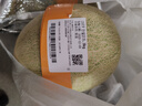北纬23°西州蜜瓜约1.3kg 实拍图