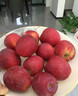 映棠 东北鸡心果5斤【顺丰快递—多地次日达】海棠果玫瑰小苹果礼盒装 3斤大果【人工精选】 现摘现发 实拍图