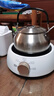 苏泊尔（SUPOR）迷你电陶炉煮茶器煮茶炉煮茶壶养生围炉煮茶茶艺炉泡茶家用办公老白茶黑茶花茶不挑器具SW-DTL01 实拍图
