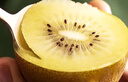 佳沛（zespri）新西兰 阳光金奇异果12粒礼盒特大果单果约122-146g 猕猴桃 水果 实拍图