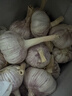 京鲜生河南杞县大蒜带皮干蒜净重5斤单果5.5-6cm 源头直发包邮 实拍图