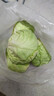 高原夏菜新鲜包菜卷心菜绿甘南菜甘蓝圆白菜时令蔬菜健康营养早餐 3斤带箱农家好菜 实拍图