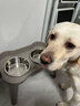 SUPER DESIGN休普狗碗高脚宠物食盆食具狗饭碗防打翻不锈钢狗盆 围边桌子碗XL 实拍图