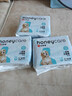 HONEYCARE好命家狗狗纸尿裤公狗尿不湿尿片安全裤 S适用体重5-15kg/12片装 实拍图