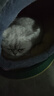 贝初众猫窝四季通用封闭式可拆洗猫屋宠物窝猫床冬季保暖大中小型犬狗窝 可爱猫头窝【建议25斤内】XL码 亲肤舒适/造型可爱 实拍图