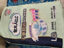 包大人（Dr.P）基础型成人纸尿裤L10片（腰围：80cm-130cm）老年人产妇尿不湿 实拍图