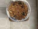 宠易生（ChongYiSheng）鹦鹉饲料虎皮玄风牡丹鸟食谷子画眉鸽子牡丹文鸟饲料1500ML/1KG   实拍图