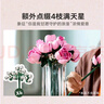 乐高（LEGO）积木拼装10374 粉玫瑰花束男孩女孩儿童玩具生日圣诞礼物 晒单实拍图