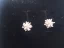 银千惠999纯银雪花耳钉女士高级感轻奢耳环耳饰520情人节生日礼物送女友 999足银雪花耳钉/可旋转+商家配送/代写贺卡 2026新款小众轻奢/配首饰证书/气质女生礼物 实拍图