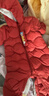 巴拉巴拉童装婴儿连体衣轻薄羽绒服宝宝衣服2025冬装抱衣爬服男童女童萌趣 红色糖葫芦-白鸭绒 73 cm-充绒量37g 实拍图