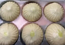 冶春食品 香菇青菜包300g*3包  18只 扬州早餐  面点 生鲜  家庭装 实拍图