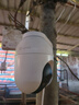 萤石C8C 600万摄像头 WiFi/4G双模版 室外双云台360° 防水防尘监控 手机远程 人形检测 全彩夜视 实拍图