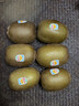 佳沛（zespri）绿奇异果 优选大果12粒单果约113-135g  水果 猕猴桃 实拍图