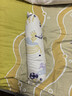 babycare婴儿糖果安抚枕多功能哄睡侧睡靠背档枕0-6岁 食梦兽浅黄40*12 实拍图