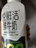 君乐宝 悦鲜活鲜牛奶（单瓶450ml）原生高钙鲜牛奶 巴氏杀菌乳 低温牛奶 悦鲜活450ml*3瓶 实拍图