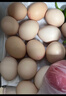 京鲜生鲜鸡蛋10枚/盒 健康轻食 营养健康1斤/盒 源头直发  实拍图