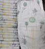 好奇（Huggies）小森林纸尿裤XL32片(12-17kg)尿不湿心钻【透氧顶配更低敏】 实拍图