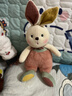 威尔通（WELTSTON）毛绒玩具布娃娃抱枕安抚玩偶儿童生日圣诞节礼物女生小白兔子公仔 实拍图