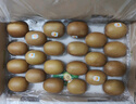 佳沛（zespri）新西兰 阳光金奇异果12粒礼盒特大果单果约122-146g 猕猴桃 水果 实拍图